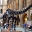 Image result for Dinosaurs Herbivor