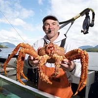 Image result for Alaskan Kng Crab