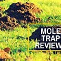 Image result for Ground Mole Traps