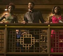 Image result for Black Panther Fight