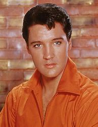 Image result for Elvis 76