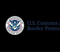 Image result for CBP Logo 3D Flag