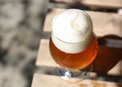 Image result for Yeast for Beer