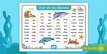 Image result for Sea Vocabulary