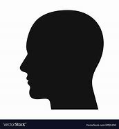 Image result for Human Head Profile