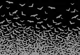 Image result for Bat Wall Art