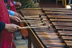 Image result for Marimba Musical Instrument