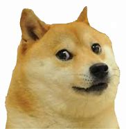 Image result for Dog Meme PNG