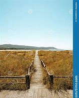 Image result for Wood Path Beach