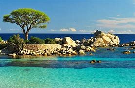 Image result for La Corse