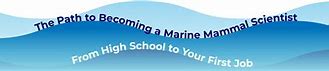 Image result for Marine Mammal Science