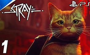 Image result for Stray PS4 Cat Family. Start