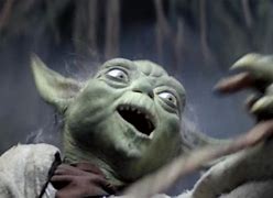 Image result for Yoda Facepalm