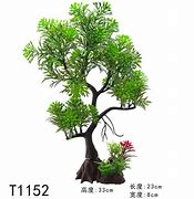 Image result for Tree in Fish Tank