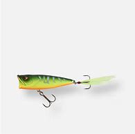 Image result for Popper Lure