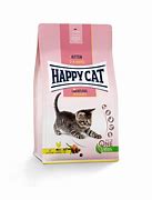 Image result for Happyy Cat