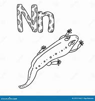 Image result for What's in Newt Letters Capsules