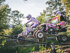 Image result for Quad Bike Makes