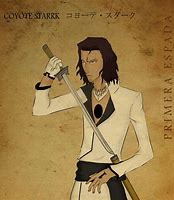 Image result for Coyote Starrk Sword