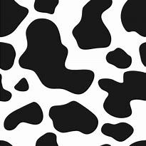 Image result for Cow JPEG