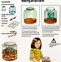 Image result for Real Ant Farm