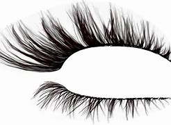 Image result for Eyelash PNG