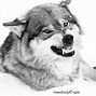 Image result for Wolf Teeth Drawing Feral