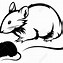 Image result for Mad Rat Outline