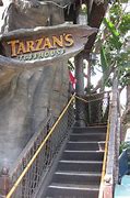 Image result for Disney Tarzan Treehouse