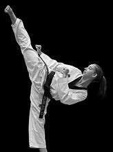 Image result for Front Kick Taekwondo Girl