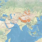 Image result for Snow Leopard Range Map