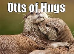 Image result for cute hug meme animals