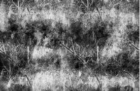 Image result for Punk Wall Texture