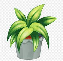 Image result for Flowering Plant Clip Art