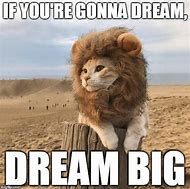 Image result for Lion Habitat Meme