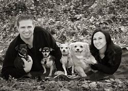 Image result for Dog Family Images