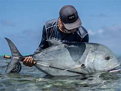 Image result for Giant Trevally Fly Fishing