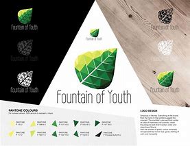 Image result for Fountain Youth Layout