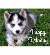 Image result for Happy Birthday Husky Dog