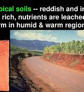 Image result for Tropical Soil