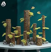 Image result for Tree in Fish Tank