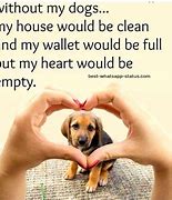 Image result for I Say Animal