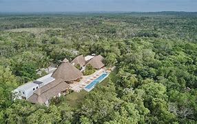 Image result for Quintana Roo Jungle