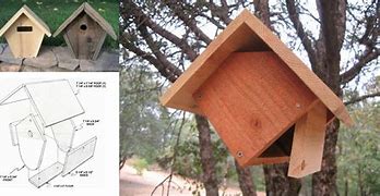 Image result for Wren Nest Box Plans