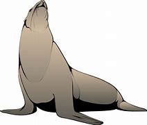 Image result for Sea Lion Sign Free Clip Art