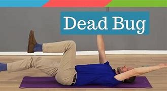 Image result for Dead Bug Core Exercise