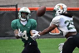 Image result for FAMU Football Watch Party