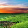 Image result for Grassland Environment