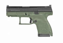 Image result for CZ P10 Sights