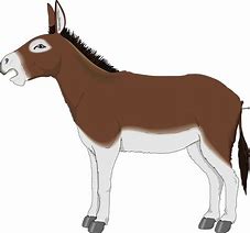 Image result for Mule Head Clip Art